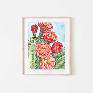 Claret Cup Cactus Watercolor Art Print