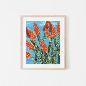 Ocotillo On Fire Acrylic Art Print
